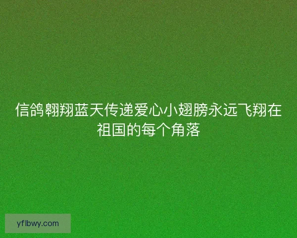 信鸽翱翔蓝天传递爱心小翅膀永远飞翔在祖国的每个角落